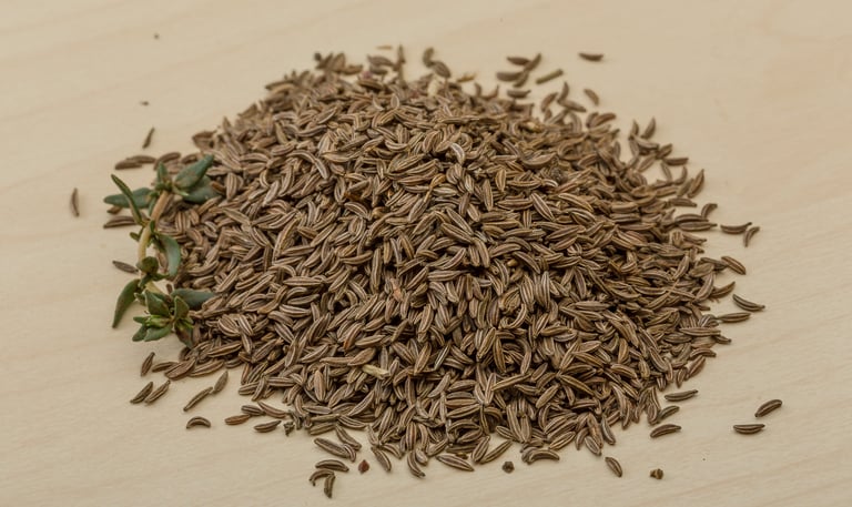 Caraway Seed Oil : Carum carvi L.  Family : Apiaceae  Part Used : Seeds  CAS Number : 8000-42-2