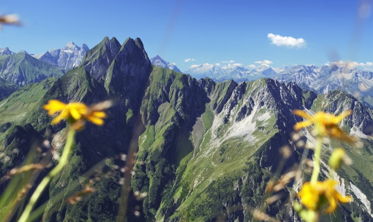 Höfats Sonne berge Arnika im Vordergrund Wolken