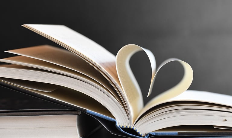 la bibliothèque de l'étincelle de vie à plelan le grand 