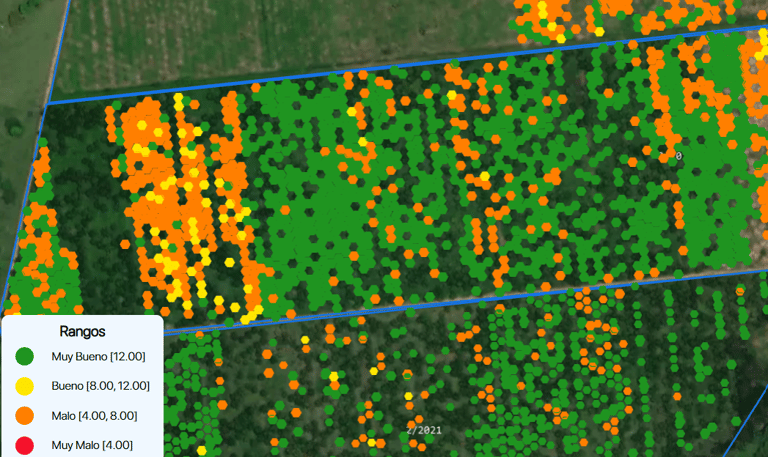 a map of a field with the number of flowers of polinization of a palm oil cultivation