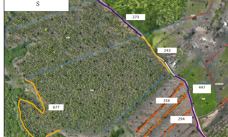 Planos de diseño de cultivo de palma de aceite