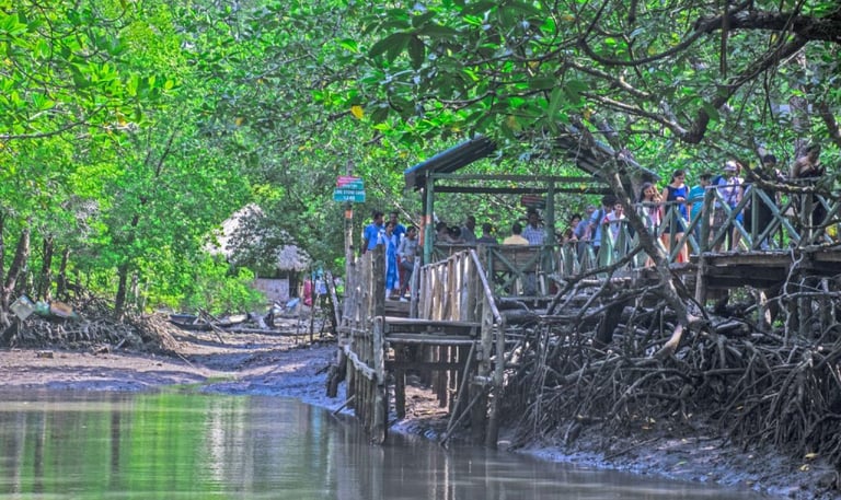 Baratang island deatils by overhaul