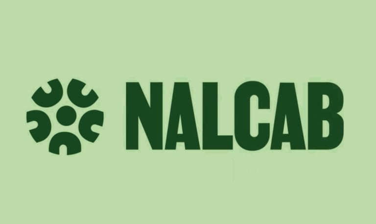 NALCAB, CDCG client case study