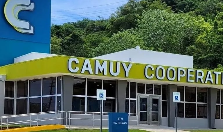 CAMUY Cooperativa, CDCG client case study