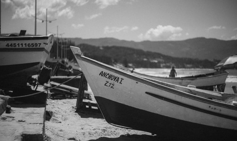 A Memória das Linhas