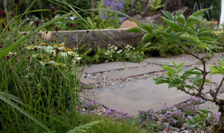 A tree carved into a bench with plants in the foreground
