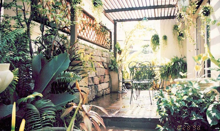 New house gardens: all soil, plants, sculptures, terraces built up from a clay base.