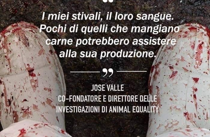 lobby alimentari veganoo 