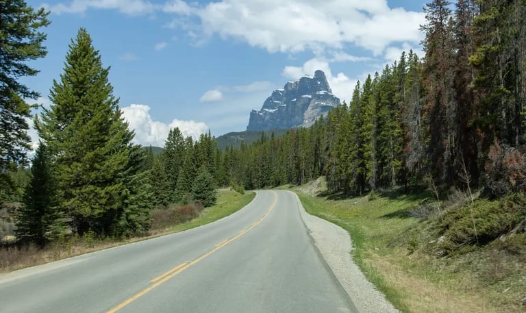 Déménagement Sainte-Catherine - Longue distance