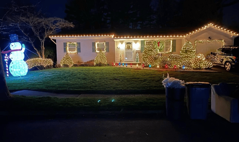 Professional Holiday Lighting