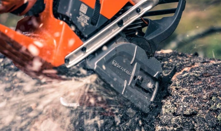 burnham tree services stump removal
