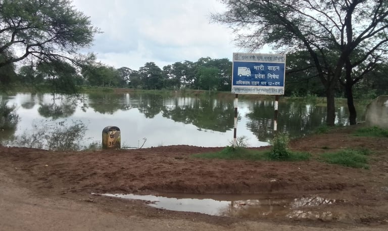 pond
