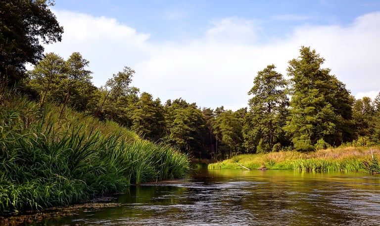 How to clear spaces from negative energies