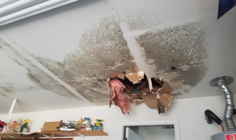 water-leak-in-ceiling-brushy-creek-home