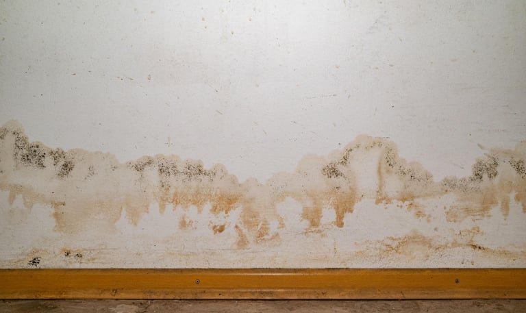 Water damage repair in Granger, TX home with warped wood flooring