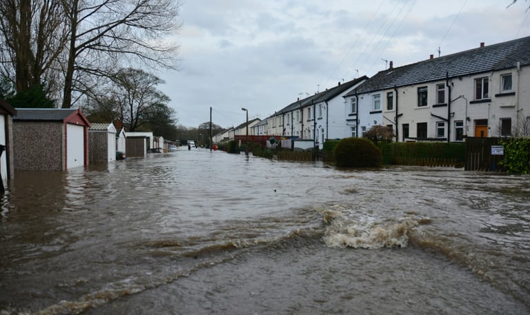 Professional water damage cleanup and drying equipment in Florence, TX home after leak