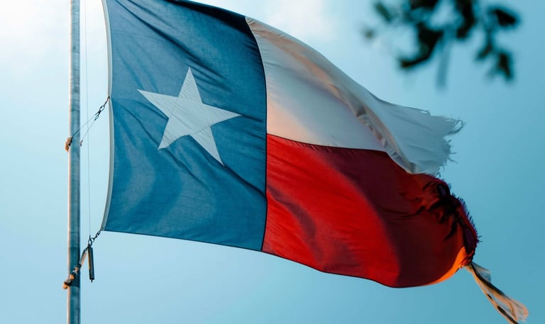 chrome-water-damage-restoration-company-with-texas-flag