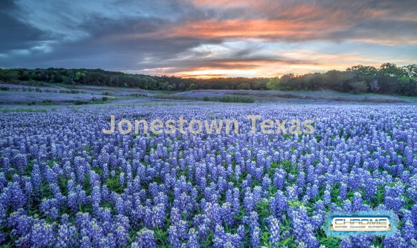 field-of-flowers-near-water-damage-restoration-in-jonestown-tx