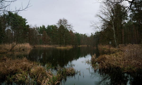 Low water crossing in Coupland, TX during heavy rain causing localized flooding
