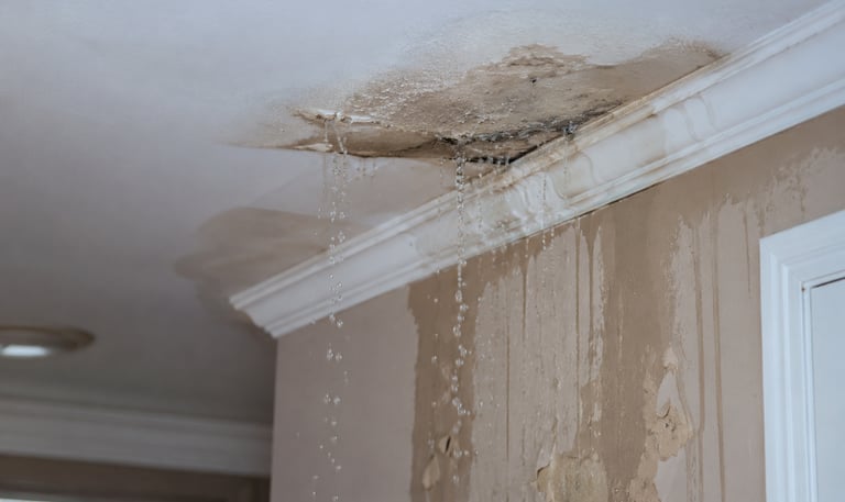 rain water leaking through ceiling in killeen tx
