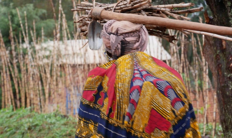 a woman carrying a large pile of sticks and sticks