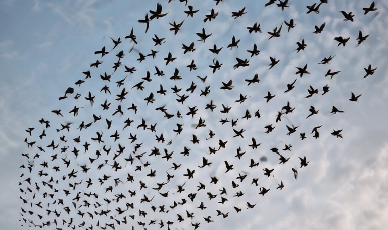 A compassionate nurse gently assisting an elderly patient in a sunlit room with earth-toned decor.