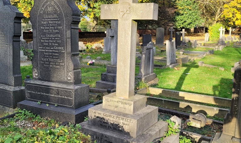 WATERWAYS: CAPTAIN GEORGE PERFECT