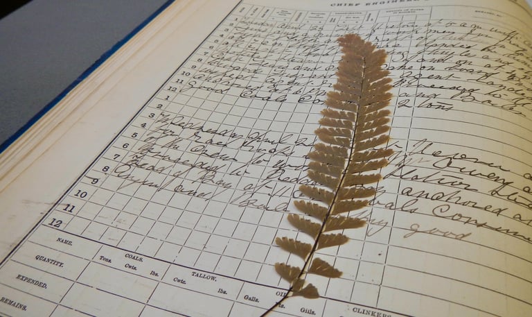 A historic logbook opened to a page with cursive handwriting and a pressed maidenhair fern front.