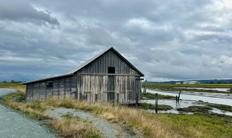 A weathered, wooden barn-like structure overlooking a tidal slough.
