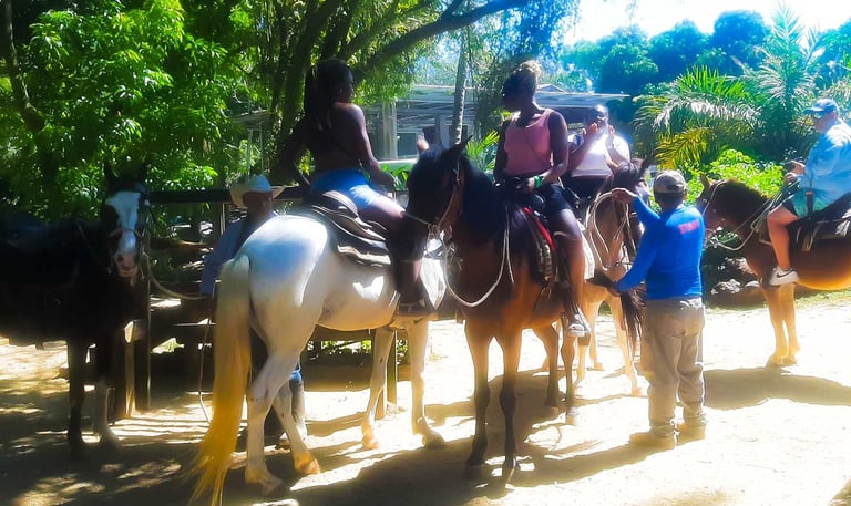 Monta de caballos roatan