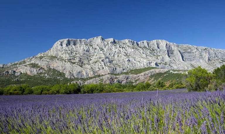 montagne de la sainte victoire avec un champ de lavande