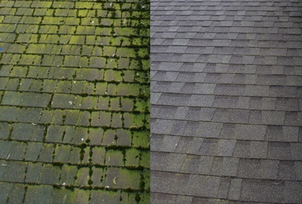 Before and after moss removal from asphalt shingle roof.