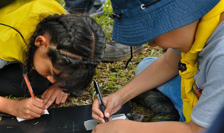 Grupo Scout Independiente