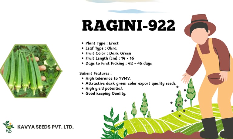 Ragini-922 high-yield dark green okra seeds specifications and features infographic by Kavya Seeds.