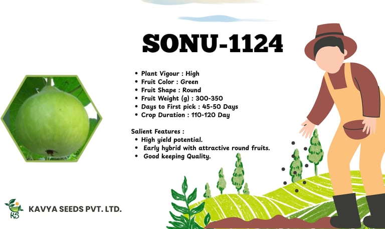 SONU-1124 hybrid bottle gourd seeds infographic showing round green fruit and high yield features.