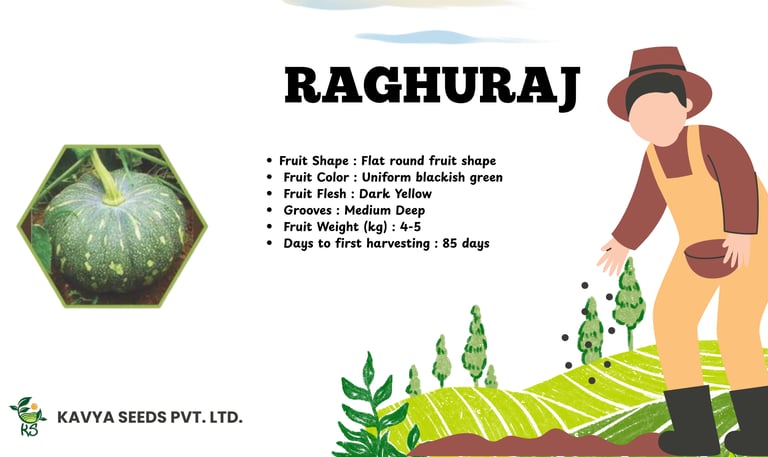 Kavya Seeds KS-1230 bitter gourd hybrid product specifications with light green cylindrical fruit features.