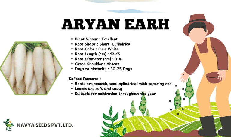 Aryan Earh hybrid white radish seeds product feature list with cylindrical root image and farmer illustration.