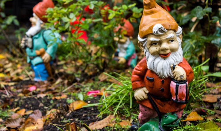 Whimsical woodland garden with ferns, shade plants, and decorative gnomes in a natural WNY landscape