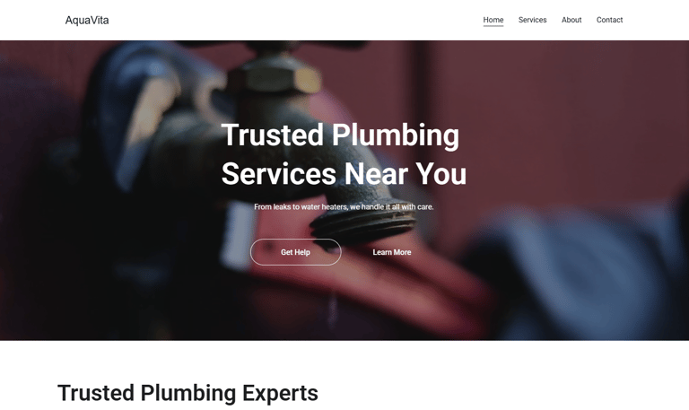 Plumber website designed by Tundra Co. — Michigan