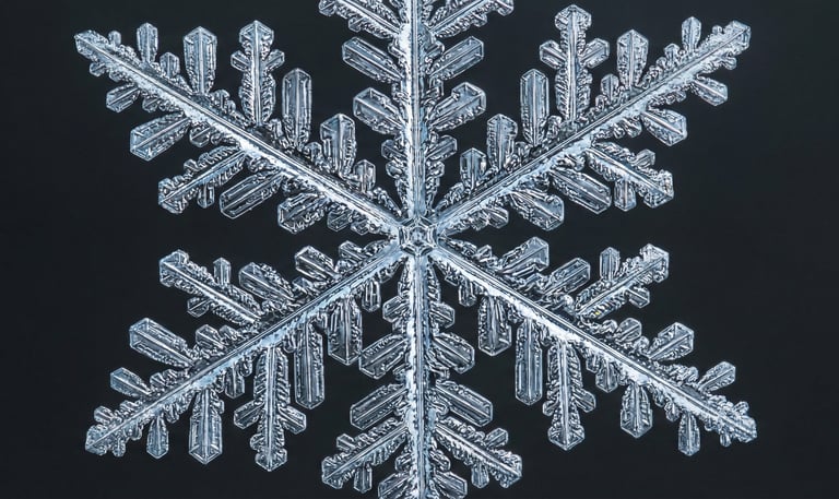 Détail au microscope d'un flocon de neige