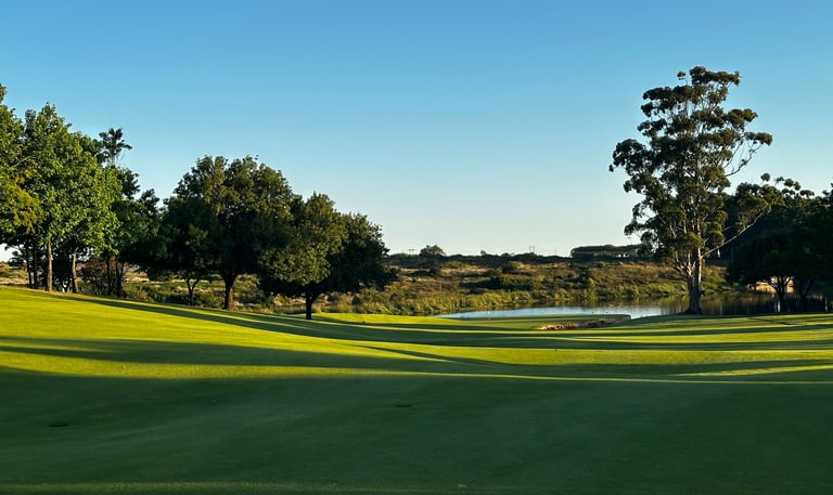 a golf course with a pond and trees