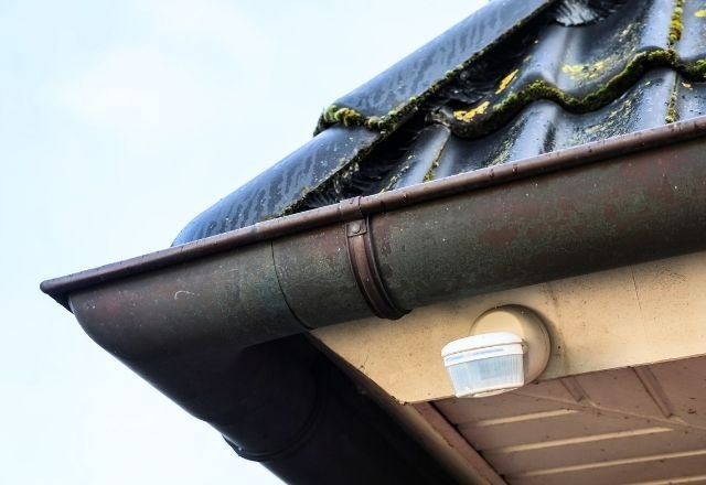 nettoyage gouttiere zinc lyon