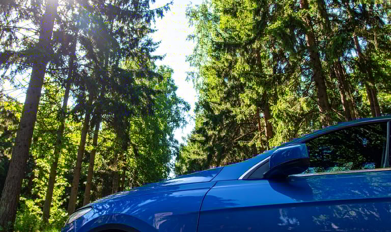 electric vehicle in the nature