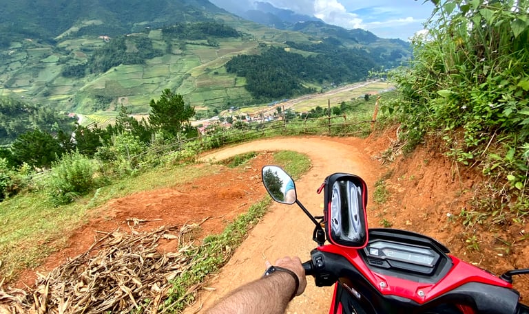 Road to bamboo forest