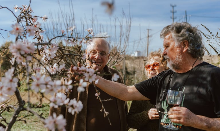 Si celebras tu fiesta en invierno - primavera, verás el cerezo en flor