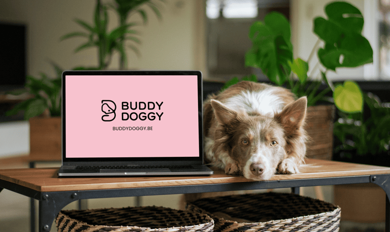 dog walking et pet sitting à bruxelles