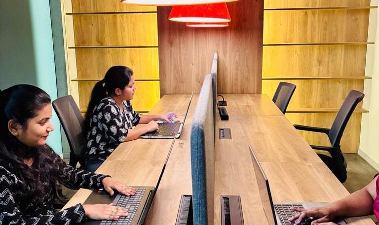 Creativity Ventures, India Software company