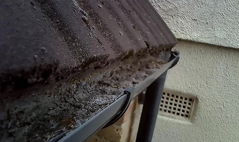 Partially filled gutter with moss and debris as see via the inspection camera