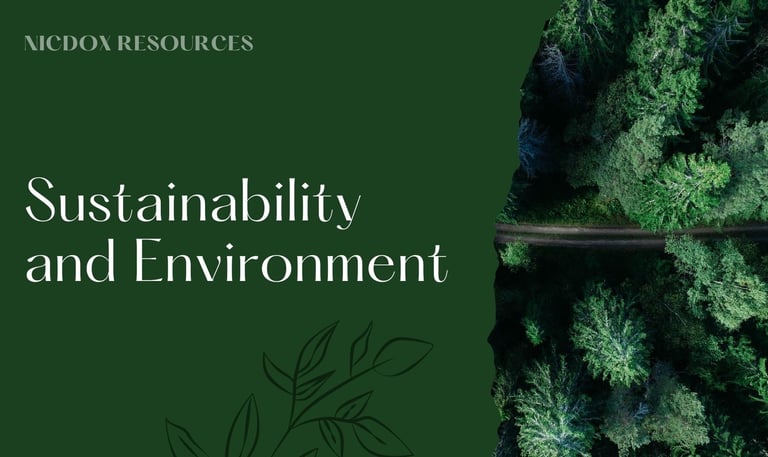 a road with trees and a river in the background