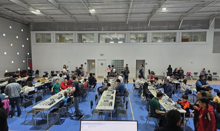 torneos escolar realizado en la comuna de providencia en el colegio saint gaspar 